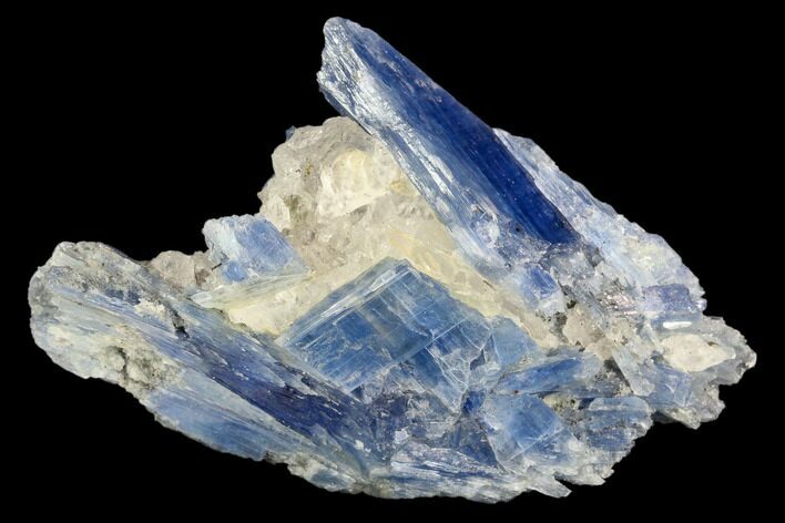 Vibrant Blue Kyanite Crystals In Quartz - Brazil #118864